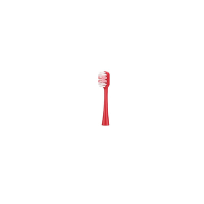 Upgrade Your Oral Hygiene with Our Adult Electric Toothbrush Back to School Special