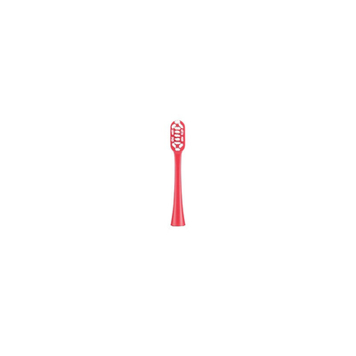 Upgrade Your Oral Hygiene with Our Adult Electric Toothbrush Back to School Special