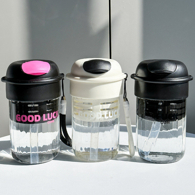 Novelty Gifts 480ml Cute Portable Straw Water Cup High Appearance and Large Capacity