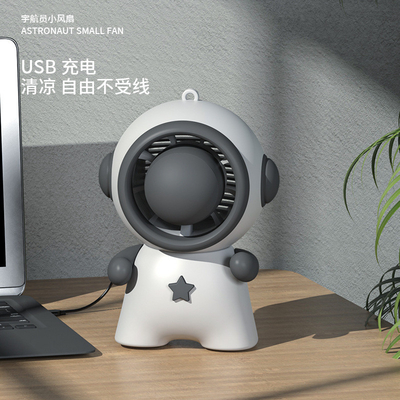 Customer's Logo Portable Small Fan Portable Doll Decoration for Healthcare Institutes