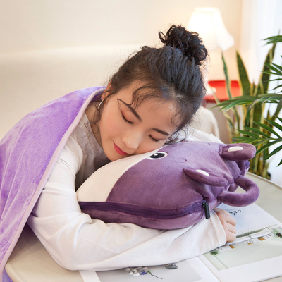 Multifunctional Quilt and Cushion Perfect for Your B2B Marketing Needs