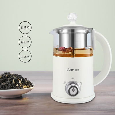 Mini Glass Flower Tea Pot Electric Kettle Perfect for Wedding Favors Bridal Parties