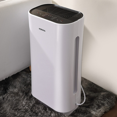 Dual Purification Filtration Air Purifier Award for Company Activity and Father's Day