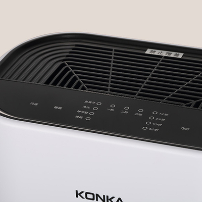 Dual Purification Filtration Air Purifier Award for Company Activity and Father's Day