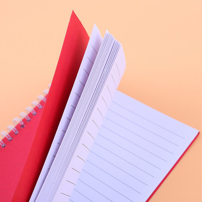 Minimalist Notepad Set Solid Color Coil Design Multiple Colors and Paper for 2024 Gift