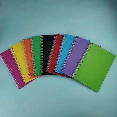 Minimalist Notepad Set Solid Color Coil Design Multiple Colors and Paper for 2024 Gift