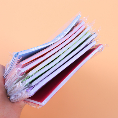 Minimalist Notepad Set Solid Color Coil Design Multiple Colors and Paper for 2024 Gift