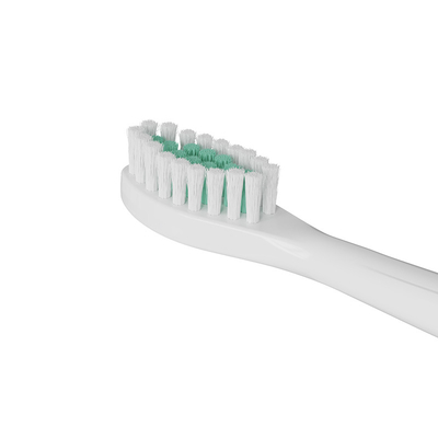 Alumni Relations Toothbrush and Electric Toothbrush Set for Annual Conference Gift