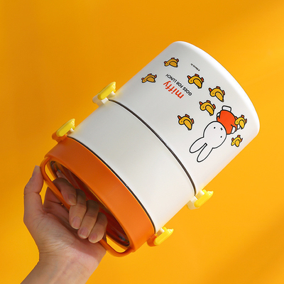 Double Layer Portable Lunch Box Cartoon Pattern Round Bento Box with Cute Design