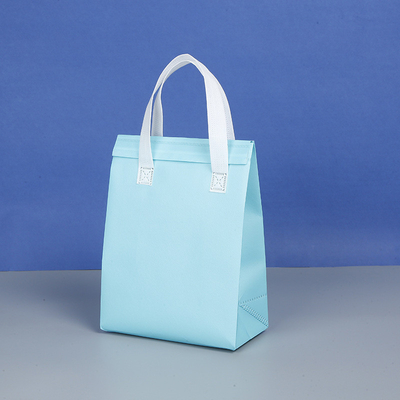 Logo Customer's Logo Customized Aluminum Foil Non-Woven Insulation Bags for One-Time
